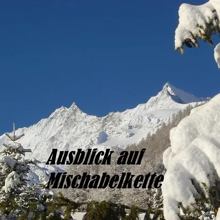 Appartement Acimo Appartement-fewo 2-bettwohnung Edelweiss By Interhome Saas-Fee